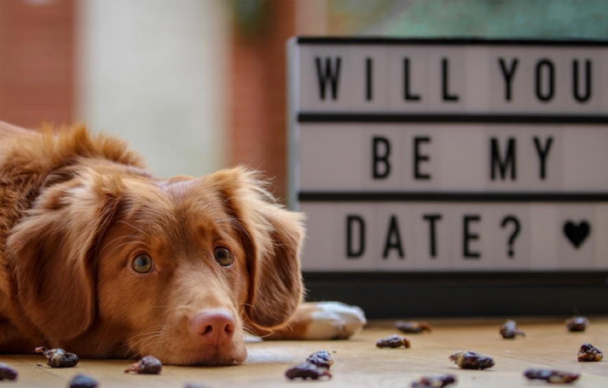 Happy Valentine’s Day